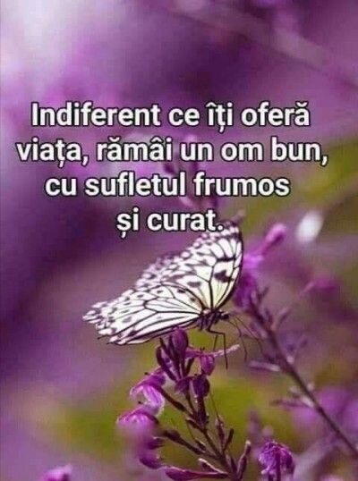 Doresc colaborare (angajare/ asociere), cu o doamna antreprenor